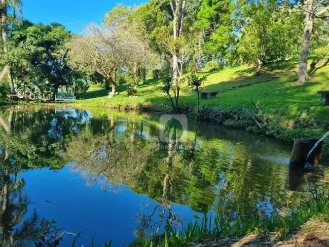 OPORTUNIDADE* Sítio todo formado em área tranquila com casa de campo tradicional à venda,