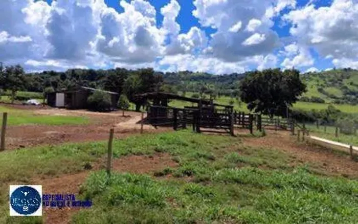 Propriedade Rural à Venda em Ceres-GO | 12,5 Alqueires
