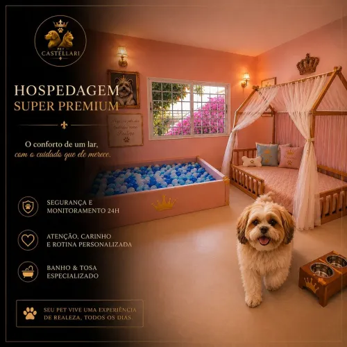 HOSPEDAGEM PET/ BANHO E TOSA 