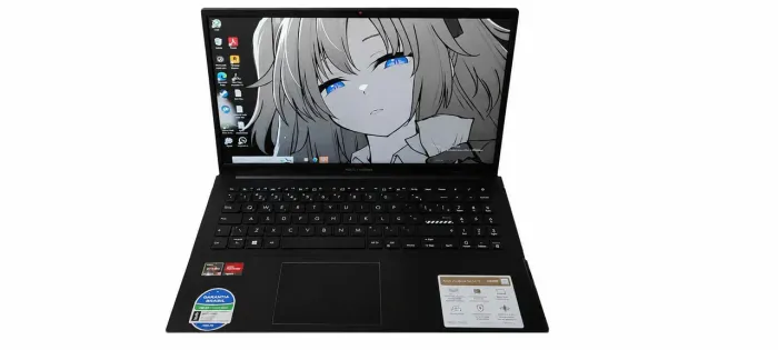 Asus vivobook go 15