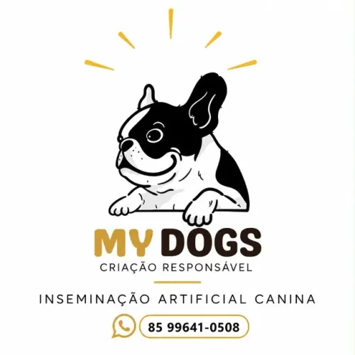 Serviço de reprodução canina - My Dogs