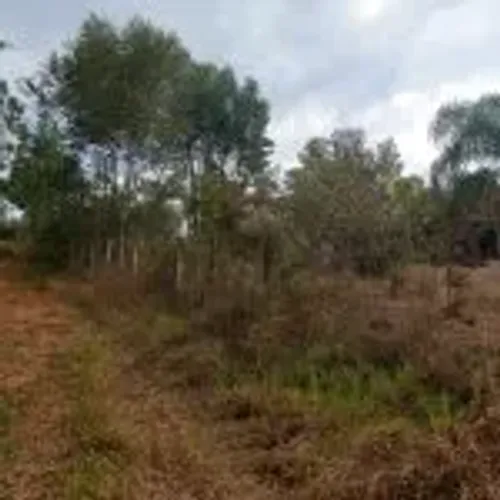chácaras sem bem feitorias/Atibaia/bairro>iara/lotes>159 e 160/R$ 75.000,00,cada chacara.