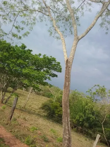 Lindíssimas Áreas às margens do Rio Nioaque
