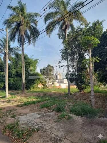 Terreno Padrão em São Carlos