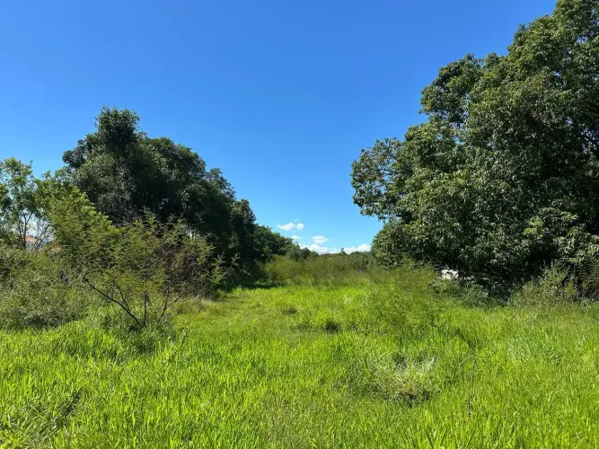 Terreno 3.000m2 em Região Nobre