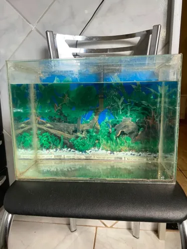 AQUARIO COM MOTOR DE OXIGENIO PARA PEIXES