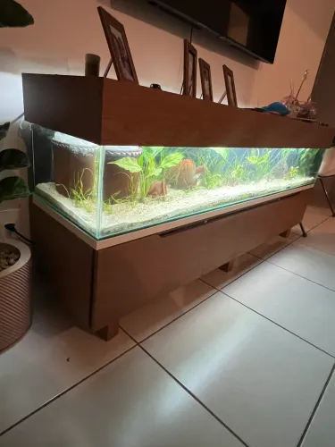 Aquario + Móvel