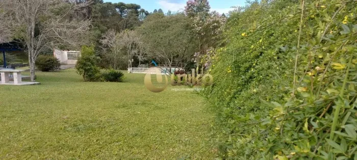 Terreno em São José dos Pinhais