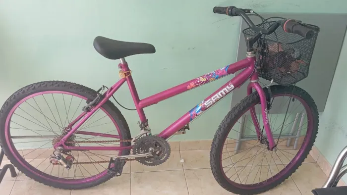 Bicicleta