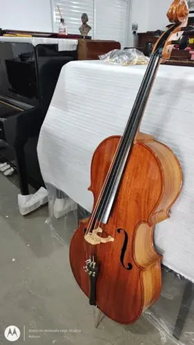 Violoncelo Jargar 4/4 