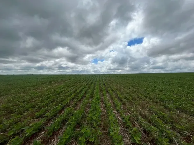 Chácara bem localizada em Cascavel com entrada de R$ 650 mil