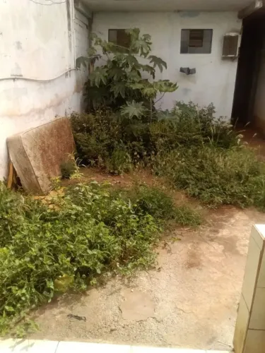Jardinagem