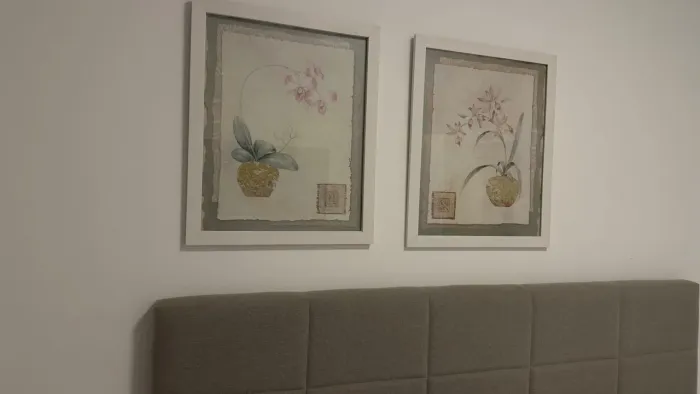 2 quadros Orquídeas 