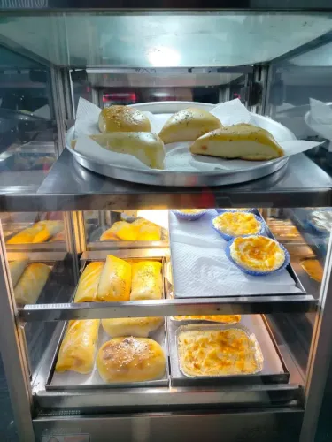 Estufa a vapor titã