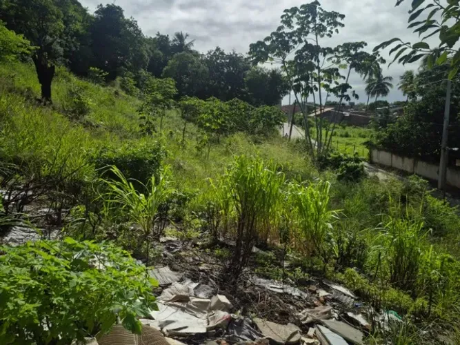 TERRENO NO CENTRO PRÓXIMO A IGREJINHA