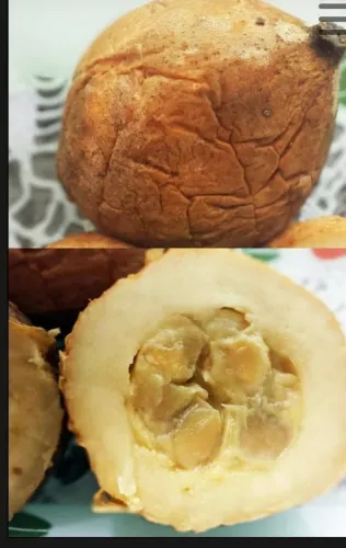 MUDAS DE JENIPAPO