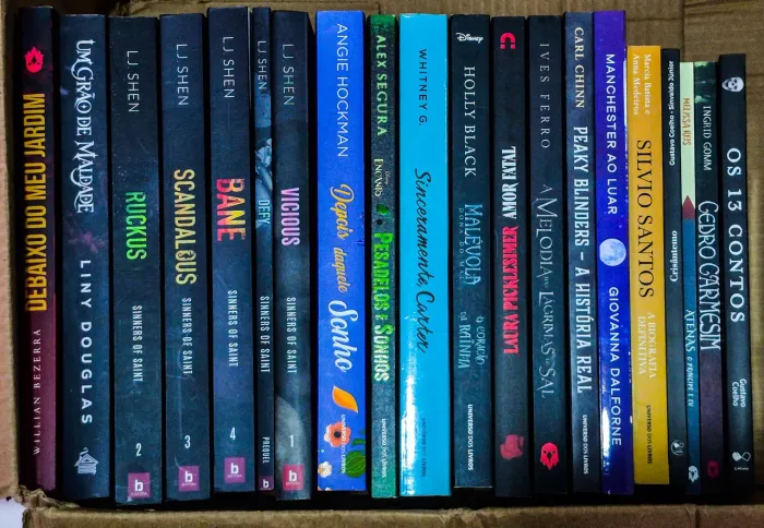 Lote com 20 livros - romance hot, dark, fantasia, thriller, suspense - para sebos e biblio