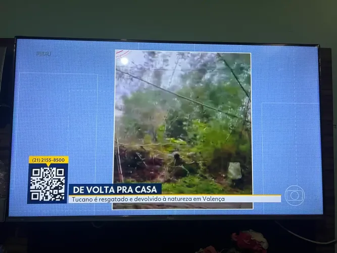 Vendo tv Philco 55 polegadas Roku