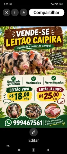 Temos vivos e preços especiais para maiores quantidades