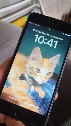 iPhone 8