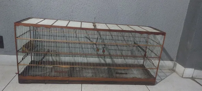 Lote de gaiolas 
