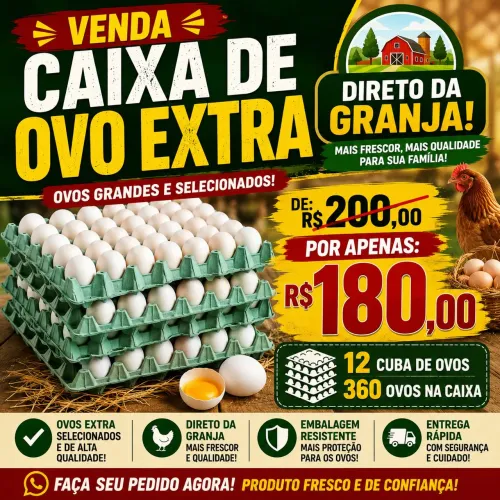 Ovos direto da granja