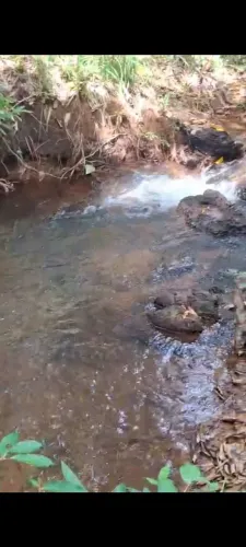 Chacara 5 alqueires aceito troco