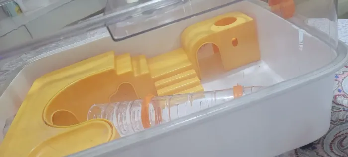Gaiola Hamster ?