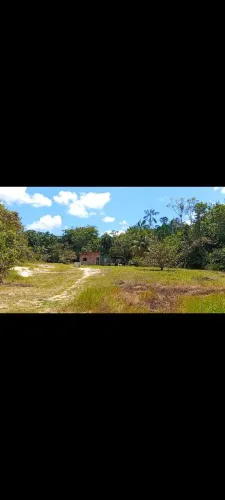 Sítio no Distrito 2 com  casa e igarapé.100m de frente por 120 de fundo