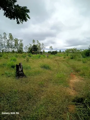Vendo sitio
