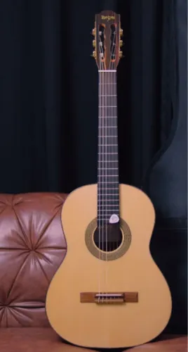 Violão Acústico Profissional Rozini Rx213