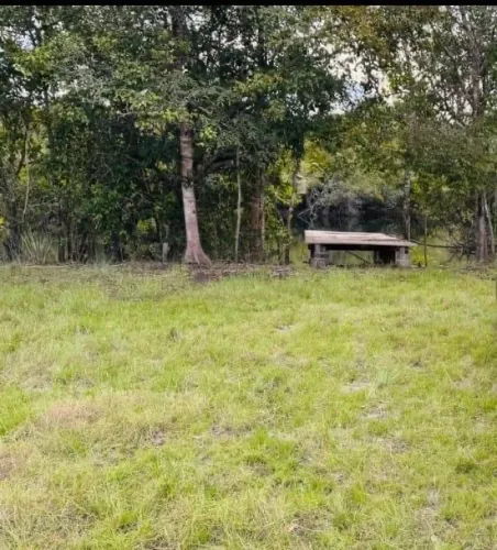 Fazenda de Alto Potencial em Cocalinho - MT | Excelente para Pecuária e Investimento