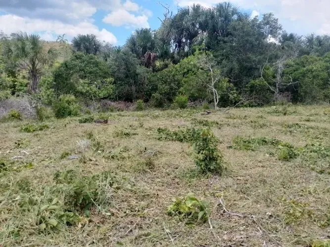 Terreno Tepequém Na Vila 200m² Tem Rua Energia Água na Frente Parcelado em Ate 54 parcelas