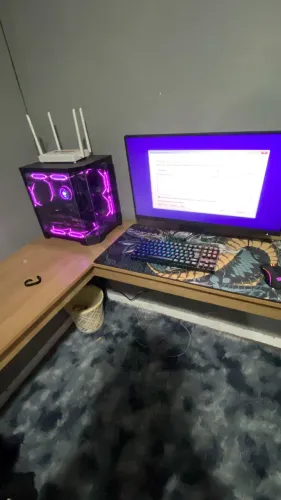 PC gamer