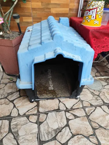 Casinha de cachorro