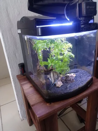 Aquário 25 litros da boyu