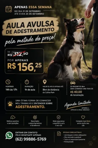 Adestramento Promo Aula Avulsa / @tdacademygo