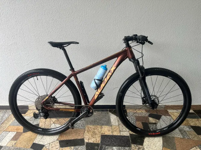 Bicicleta ADX300 Tam17 