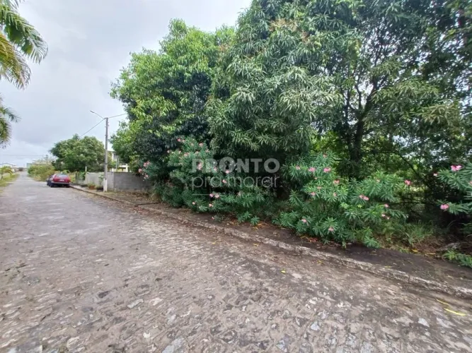 Lote/Terreno/Condomínio em Porto de Galinhas