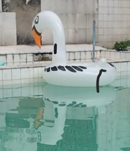 Boia cisne gigante 
