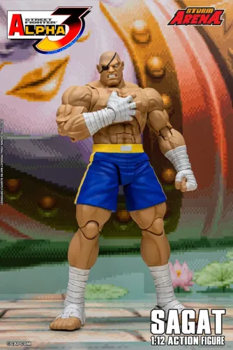 Sagat Storm Arena LACRADO