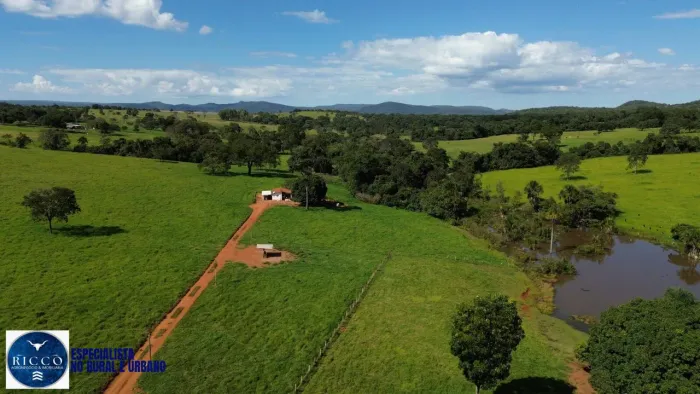 Fazenda à Venda Vila Propício / Goianésia - GO | 166 Alqueires