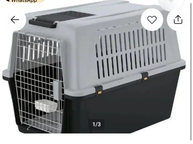 Caixa de transporte de pet