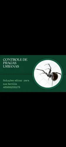 Controle de pragas urbanas 