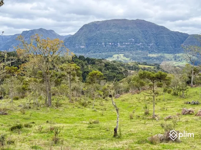 Terreno 20.000m² na Serra da Tartaruga em Alfredo Wagner-SC