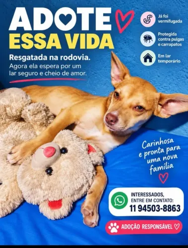 Doação
