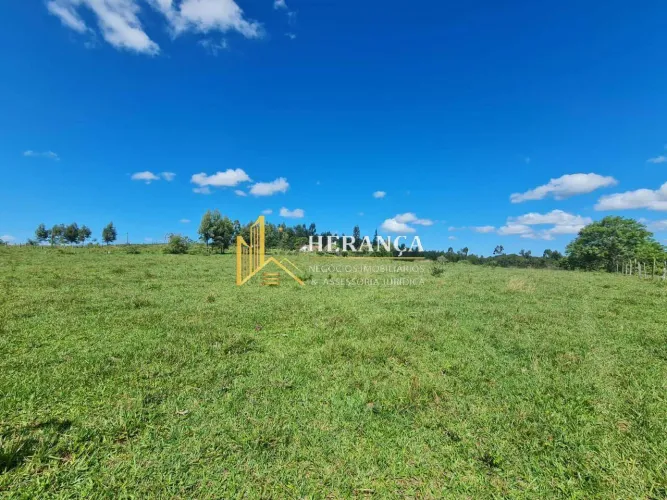 Fazenda com 52 Alqueires, Água Abundante, Gado e Eucalipto em Araruama!!