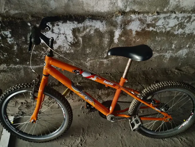 Bicicleta 