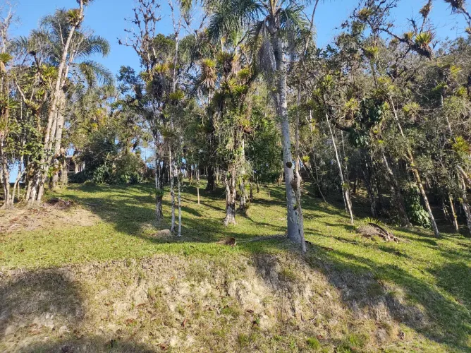 Terreno em Clube de Campo, Divisa Joinville/SC x Campo Alegre/SC