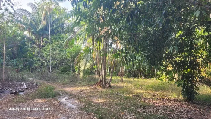 Vendo terra sítio 